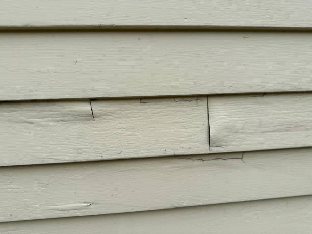 Best Siding Replacement  in Bridgeport, TX